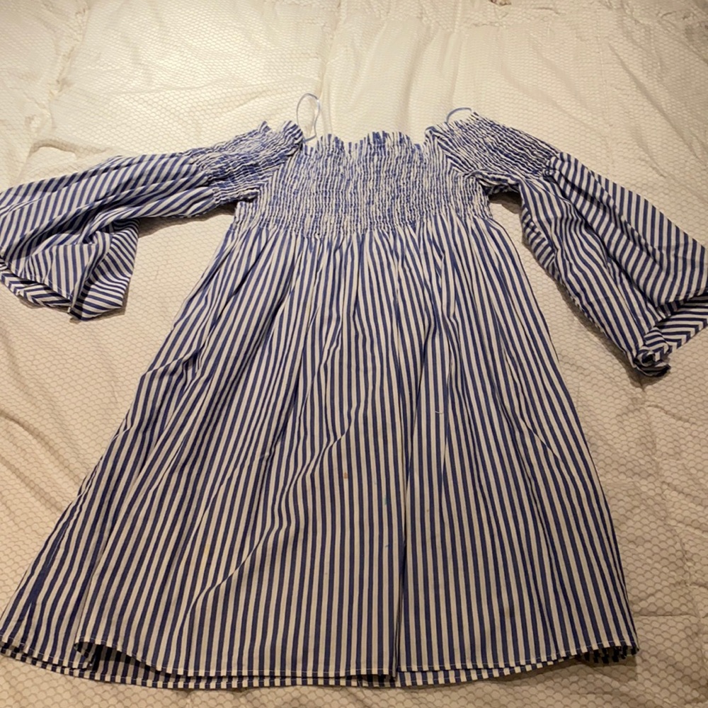 Zara Pinstriped Mini Dress